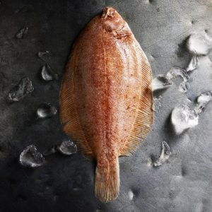 SurMer_Lemon-Sole