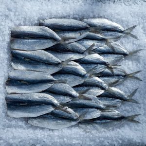 seafood_Sardines