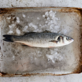 seafood_wholeseabass